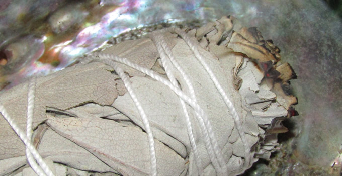 White Sage - Grounding Techniques